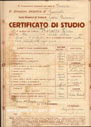 Anteprima documento