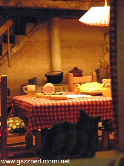 Foto 54